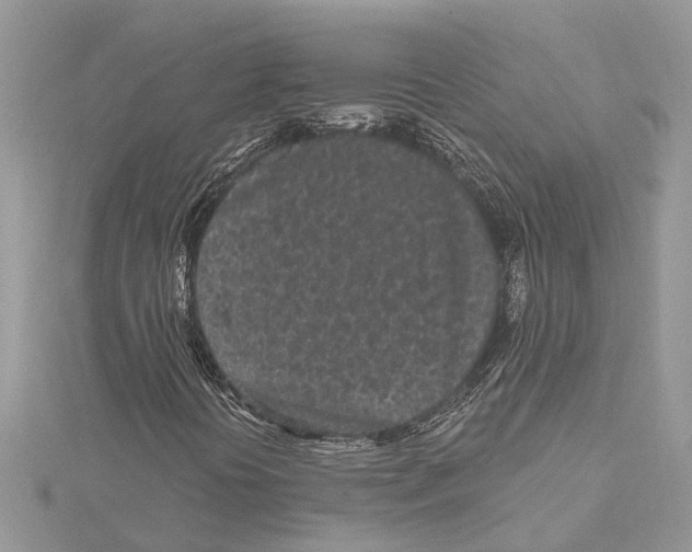 X0000115521394200912040919