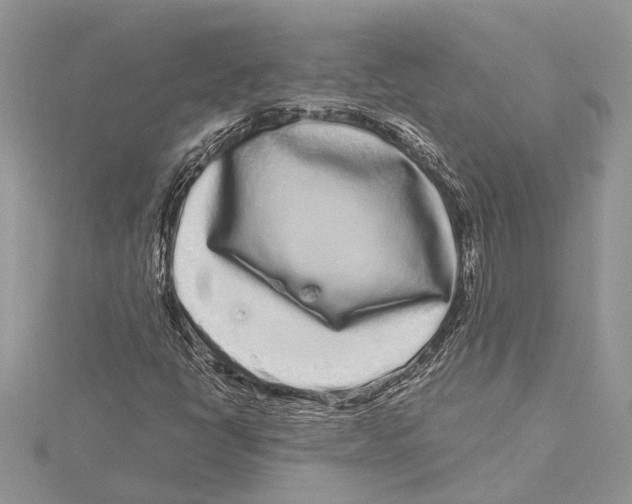 X0000115521398200912040919