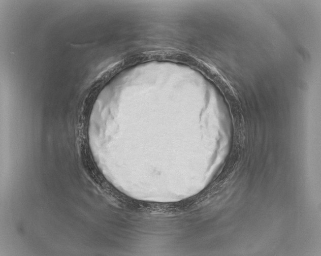 X0000115521399200912040919