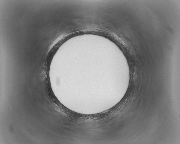 X0000115521400200912040919