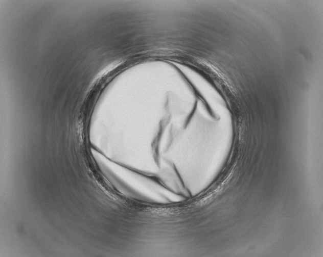 X0000115521402200912040919