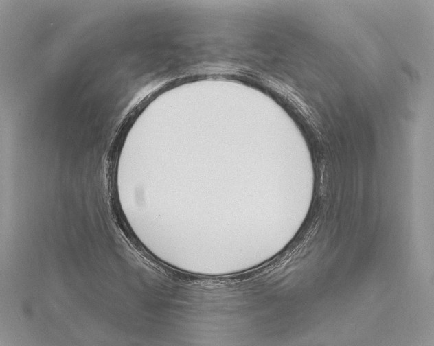 X0000115521404200912040919