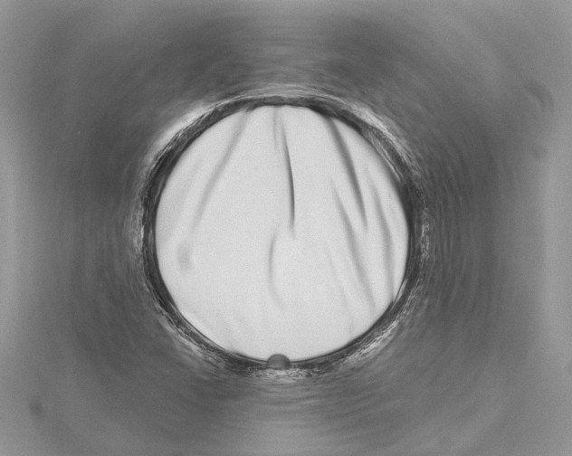 X0000115521406200912040919