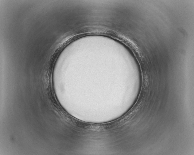 X0000115521407200912040919