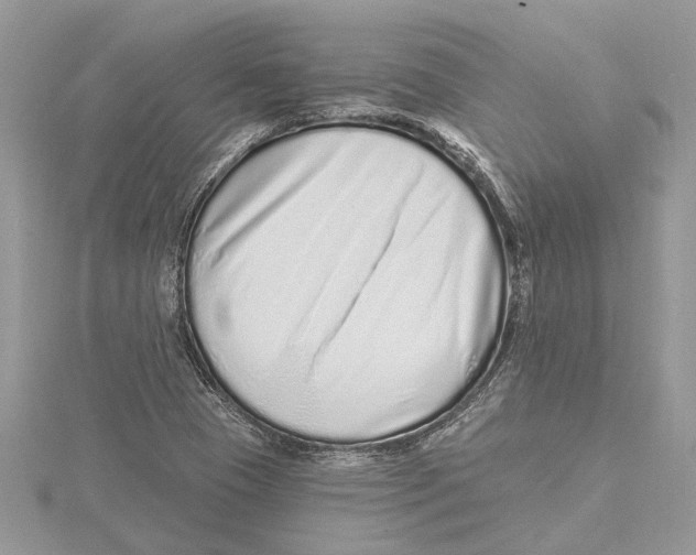 X0000115521409200912040919