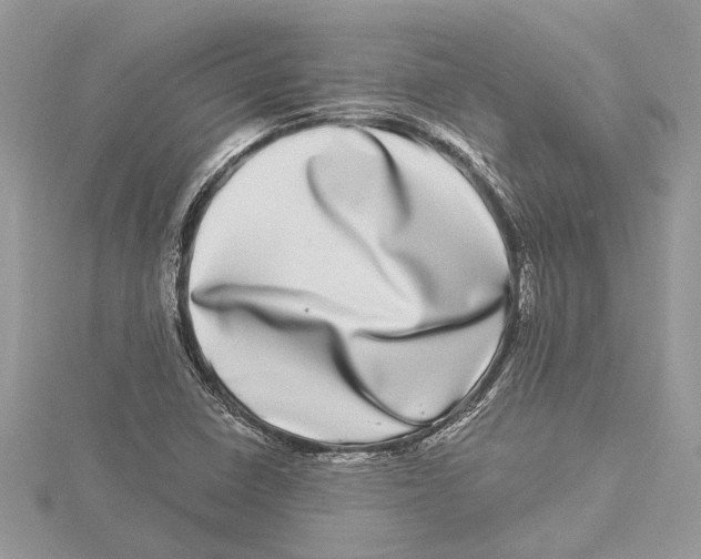 X0000115521410200912040919