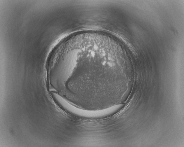 X0000115521414200912040919