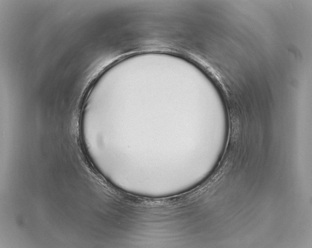 X0000115521415200912040919