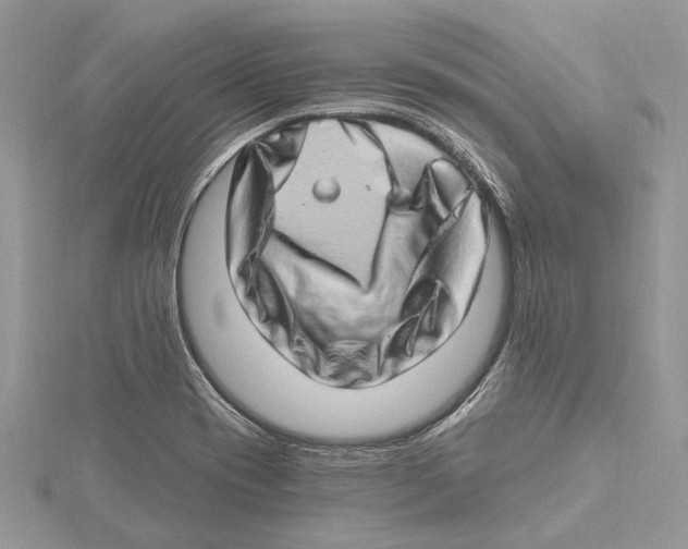 X0000115521417200912040919