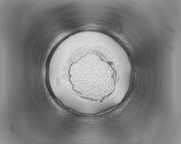 X0000115521418200912040919