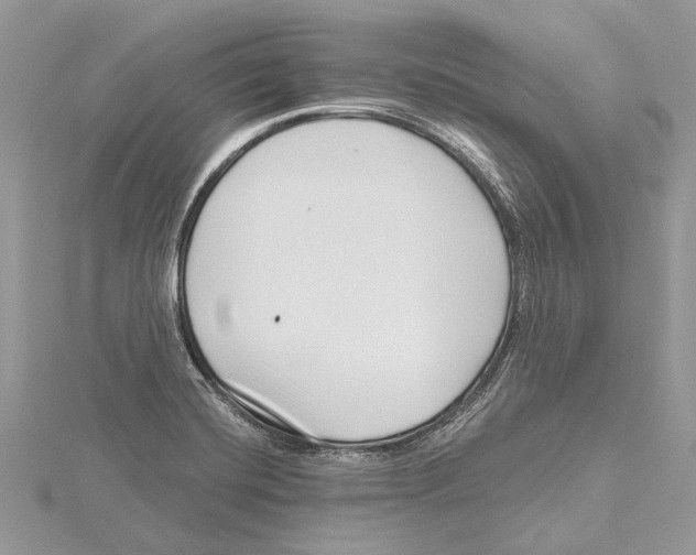 X0000115521420200912040919