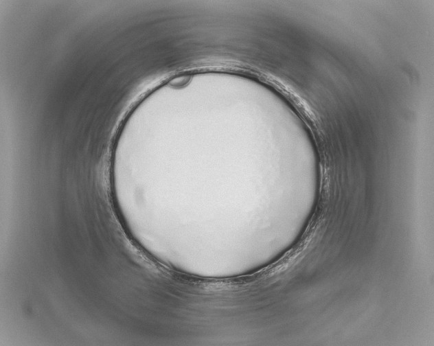 X0000115521421200912040919