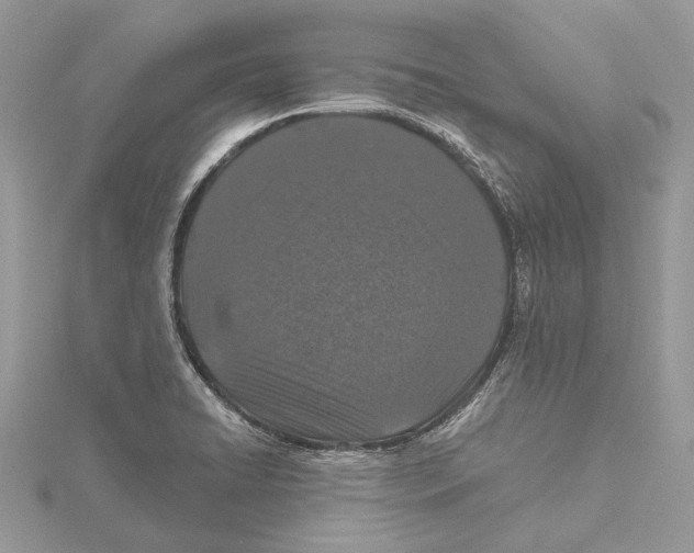 X0000115521422200912040919