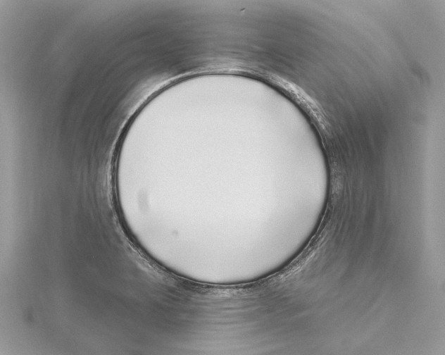 X0000115521423200912040919