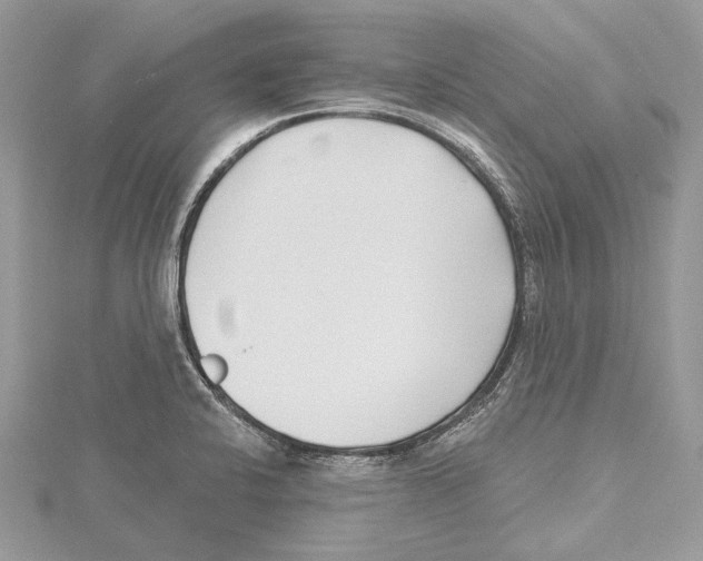 X0000115521424200912040919