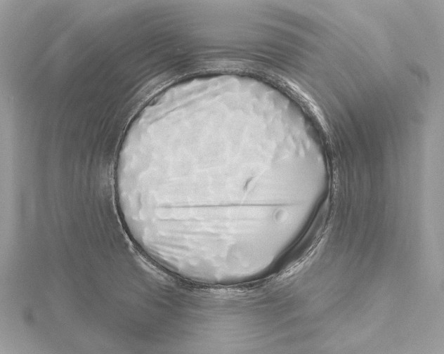 X0000115521425200912040919