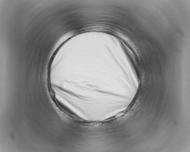 X0000115521426200912040919