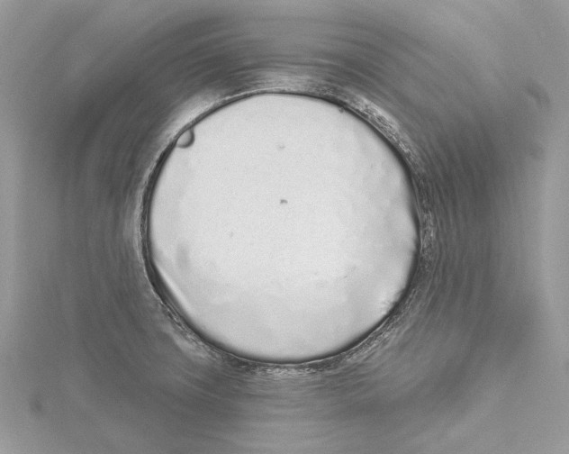 X0000115521427200912040919