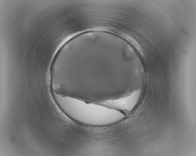 X0000115521428200912040919