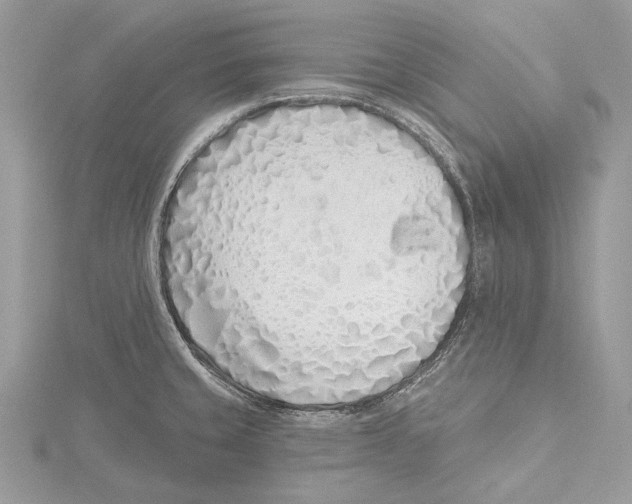 X0000115521429200912040919