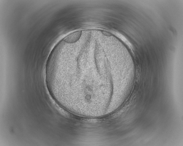 X0000115521431200912040919