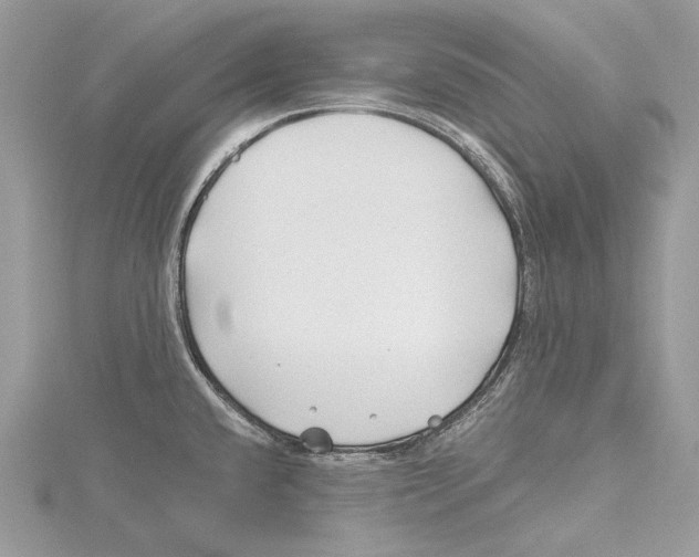 X0000115521432200912040919