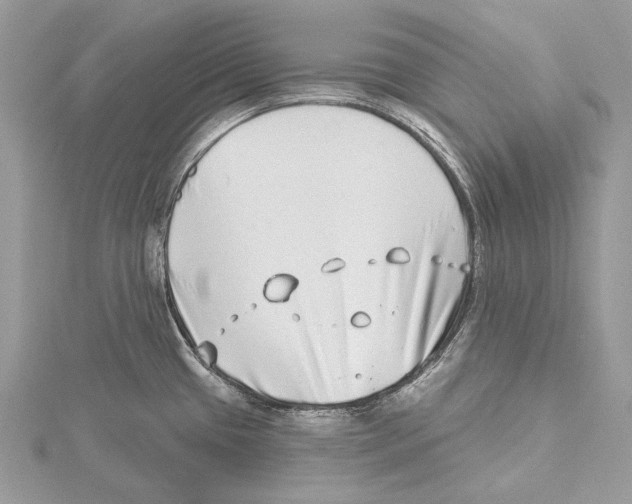 X0000115521433200912040919