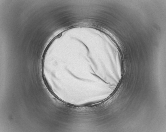 X0000115521434200912040919