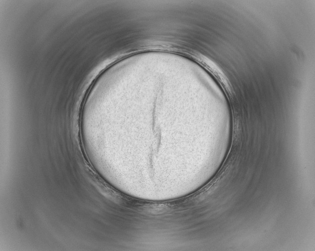 X0000115521435200912040919