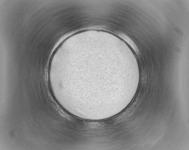 X0000115521436200912040919