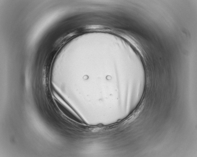 X0000115521438200912040919