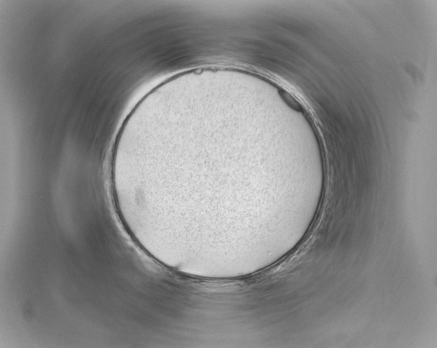 X0000115521440200912040919