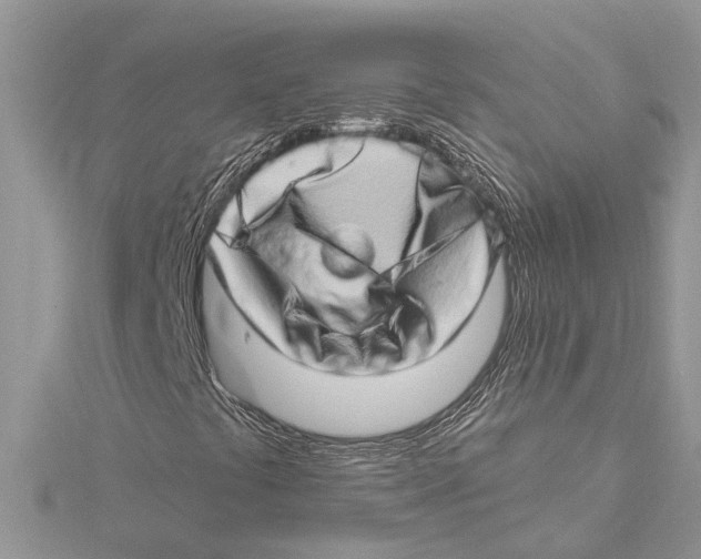 X0000115521441200912040919