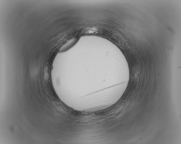 X0000115521442200912040919