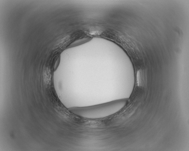 X0000115521443200912040919