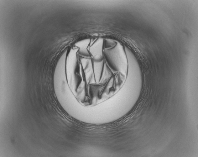 X0000115521444200912040919