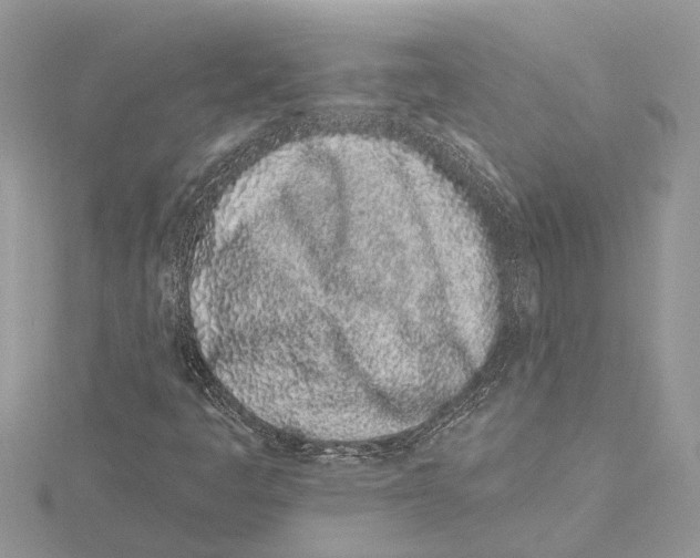 X0000115521445200912040919