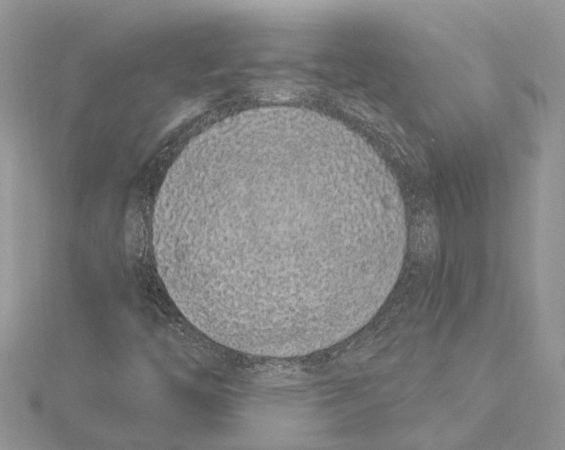 X0000115521446200912040919