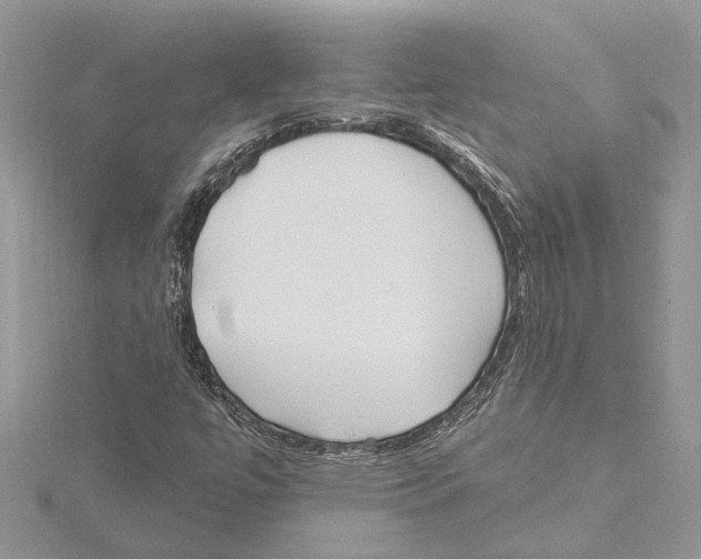 X0000115521447200912040919