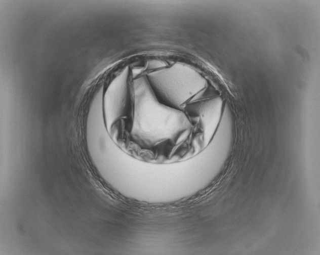 X0000115521448200912040919