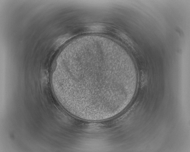 X0000115521449200912040919