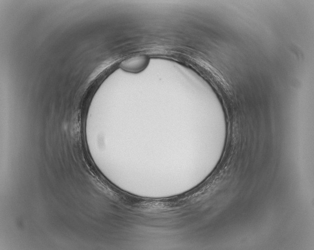 X0000115521450200912040919