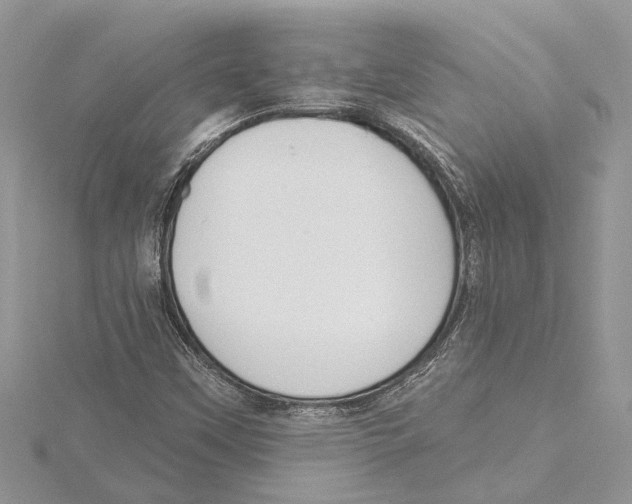 X0000115521451200912040919