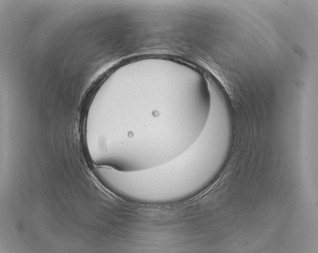 X0000115521452200912040918