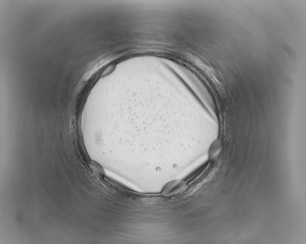 X0000115521453200912040918