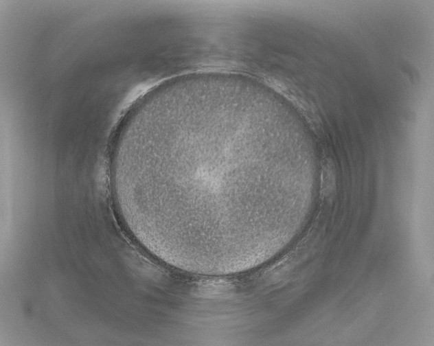 X0000115521454200912040918