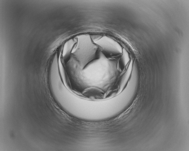 X0000115521455200912040918