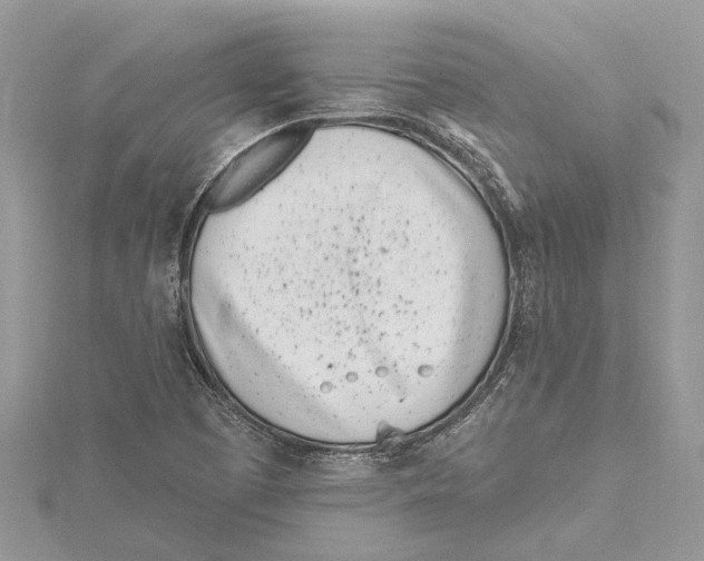 X0000115521457200912040918