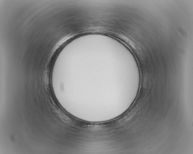 X0000115521458200912040918