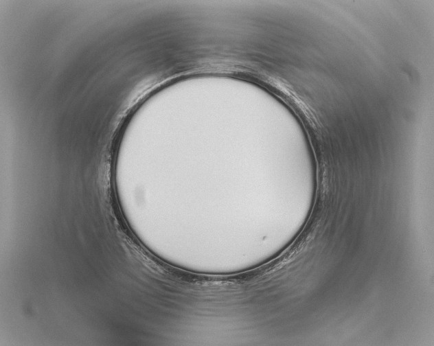 X0000115521459200912040918